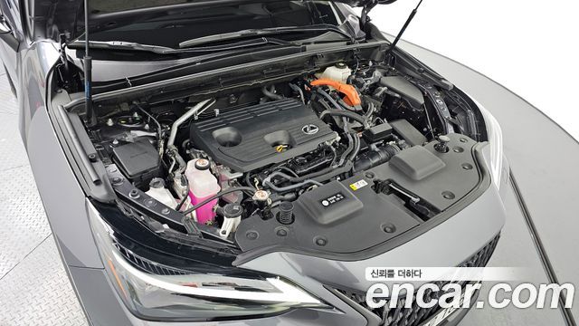 Лексус NX350h 2025 — миниатюра 6