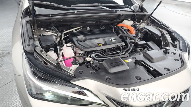 Лексус NX350h 2024 — миниатюра 6