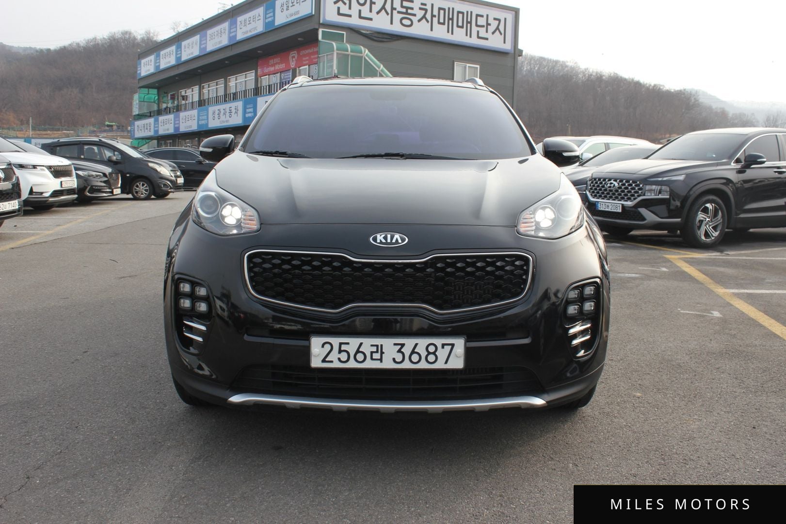 Kia Sportage 2016 — фото 1 из 12
