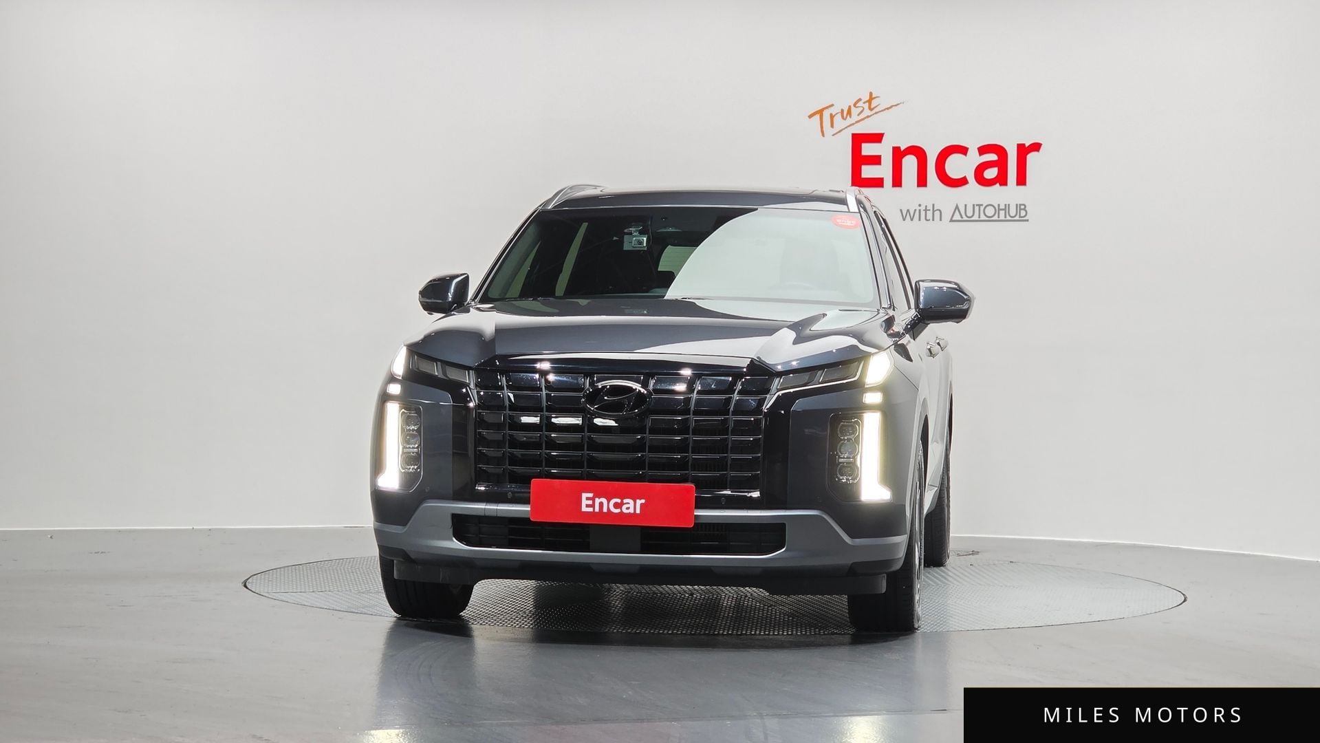 Hyundai Palisade 2023 — миниатюра 3