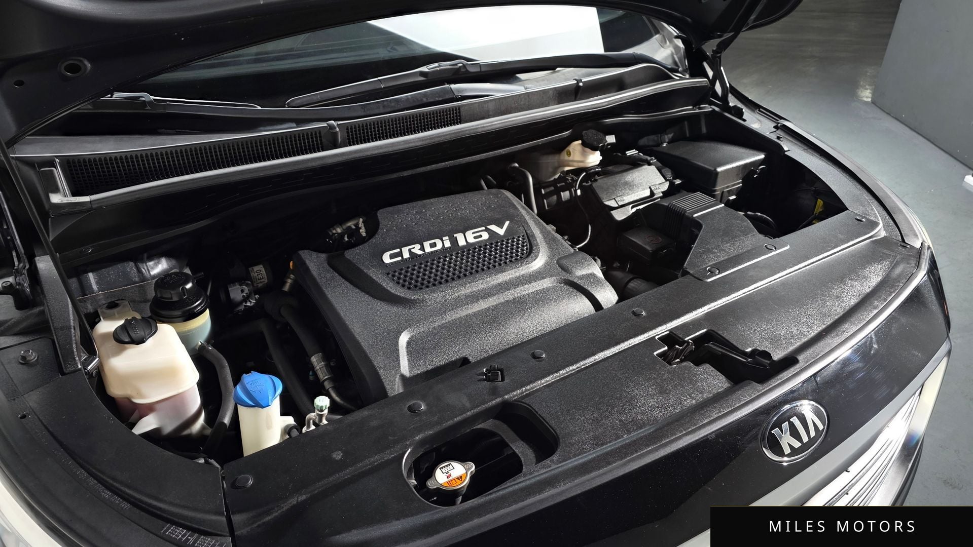 Kia Canival 2016 — миниатюра 6