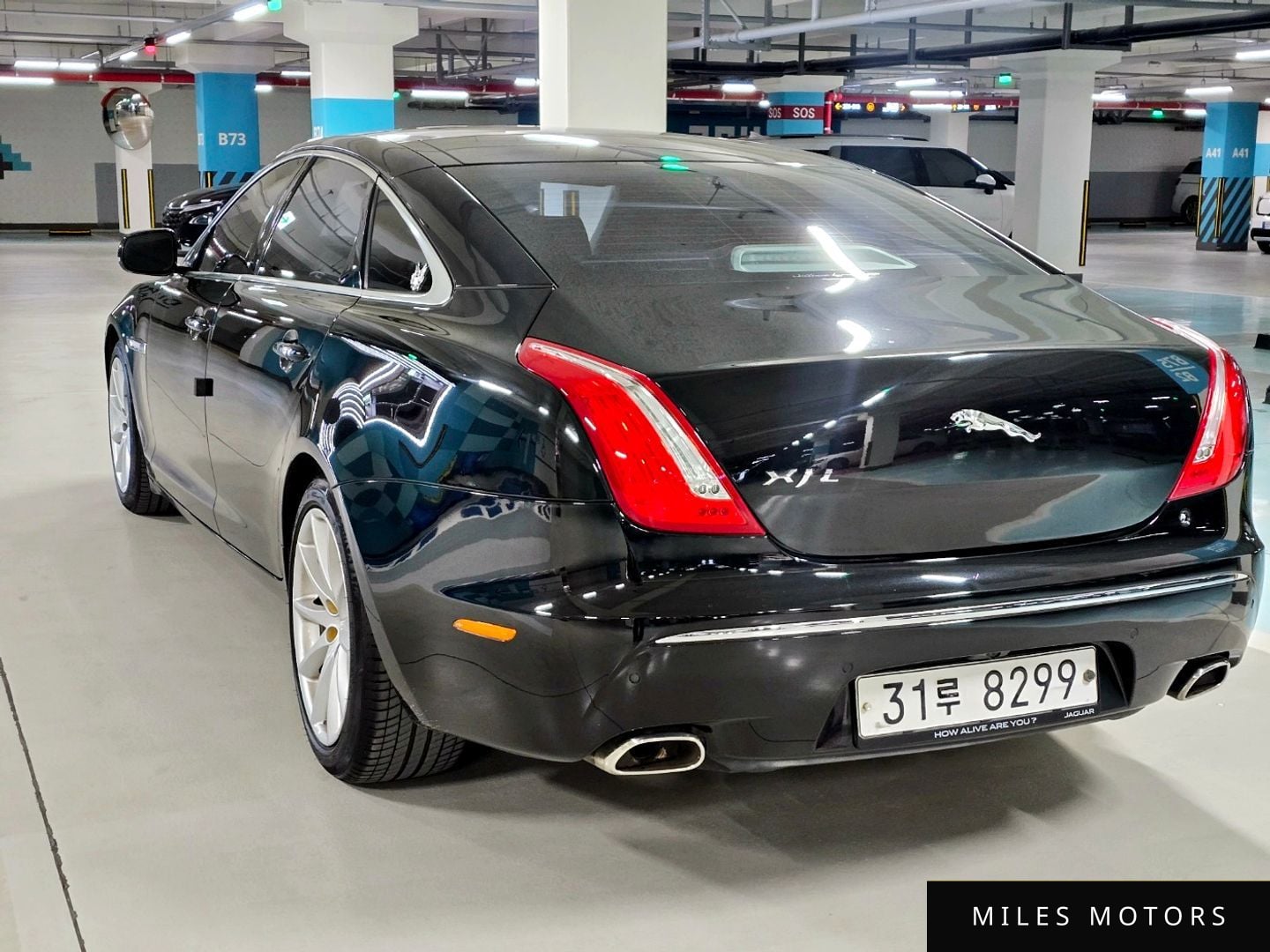 Jaguar All New XJ 2011 — миниатюра 6