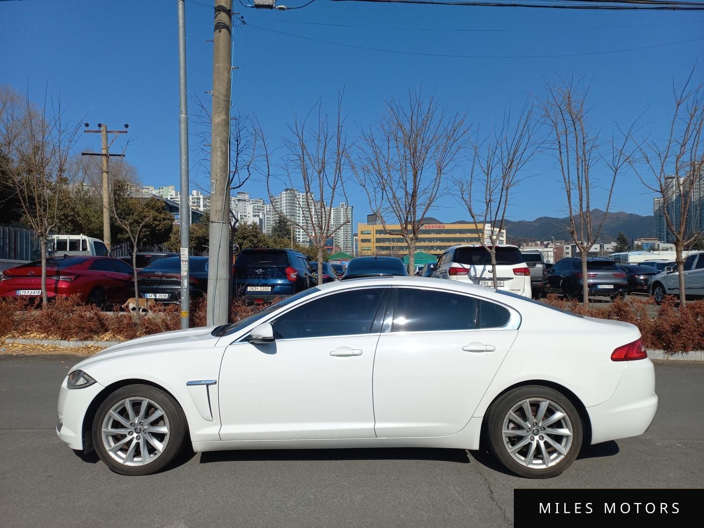 Jaguar New XF 2012 — миниатюра 8