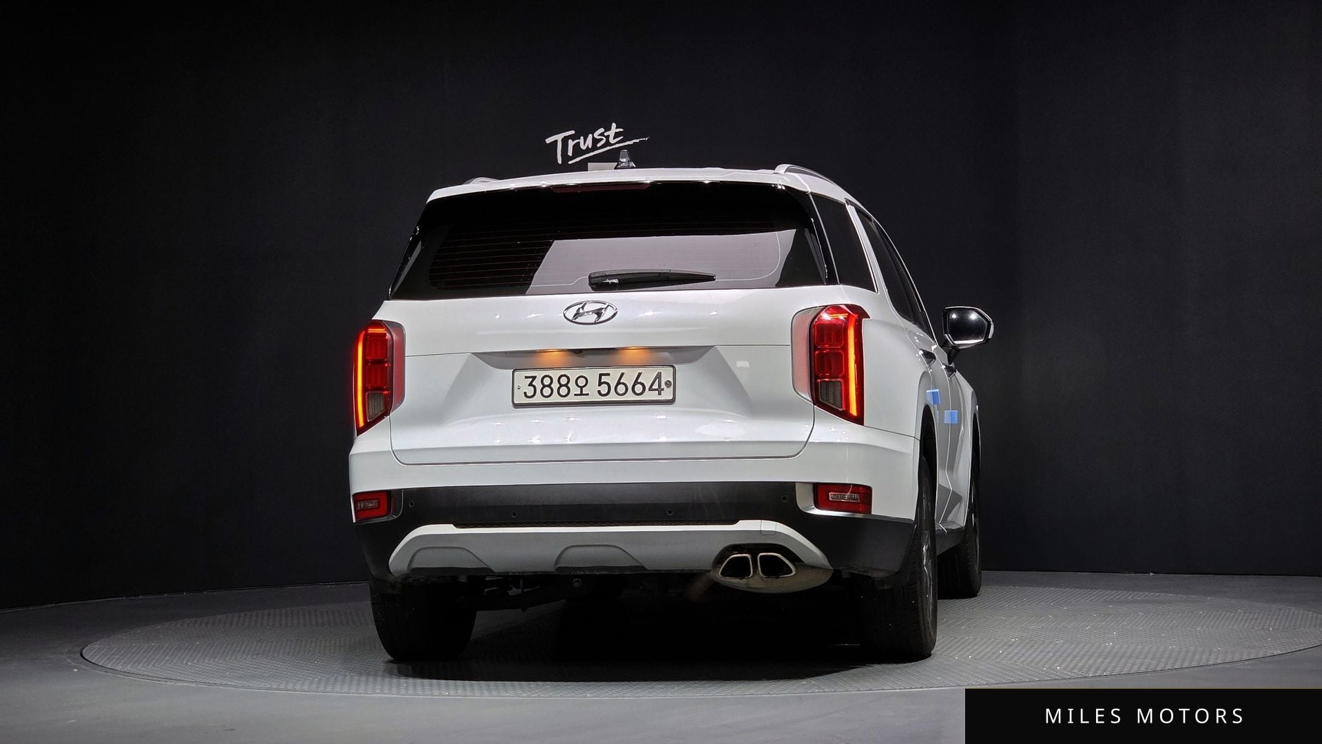 Hyundai Palisade 2020 — миниатюра 4