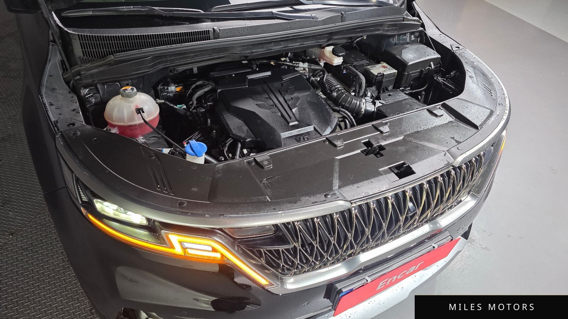 Kia Carnival 2022 — миниатюра 6