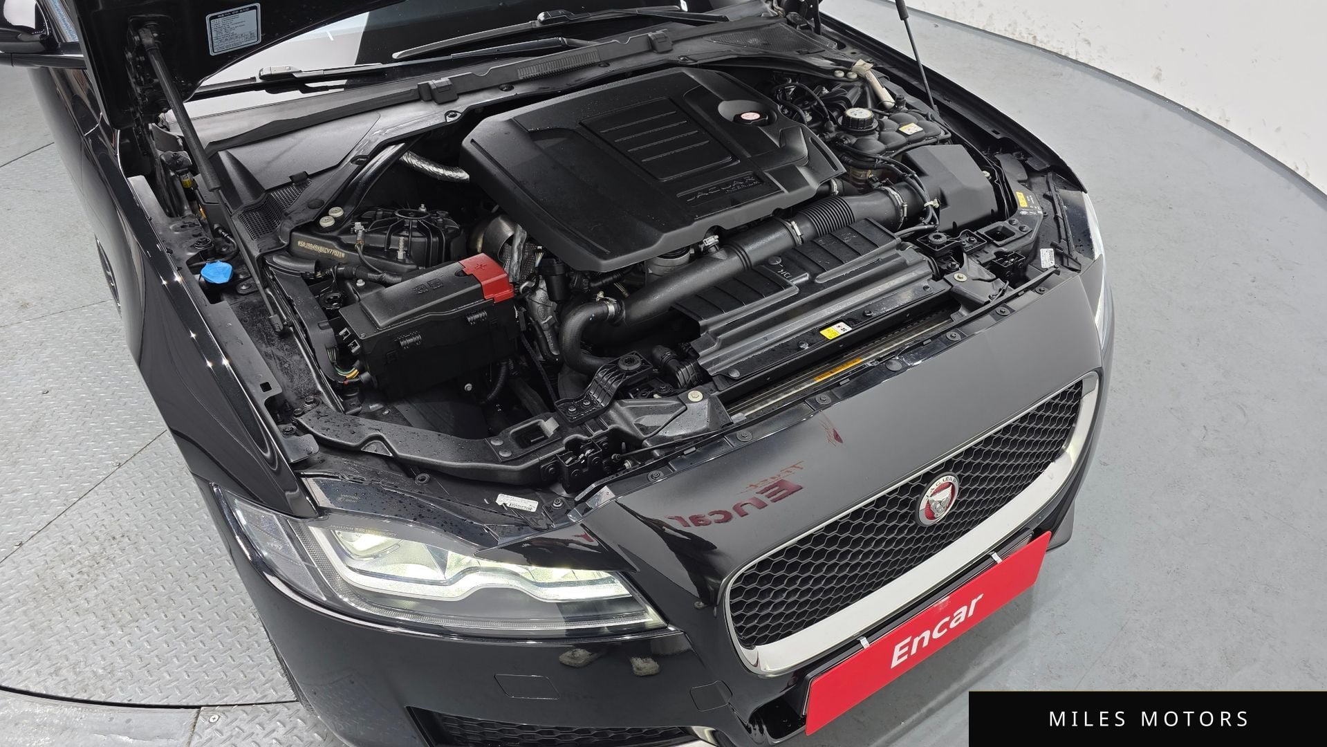 Jaguar XF (X260) 2019 — миниатюра 6
