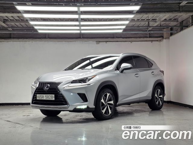 Лексус NX300h 2019 — миниатюра 25