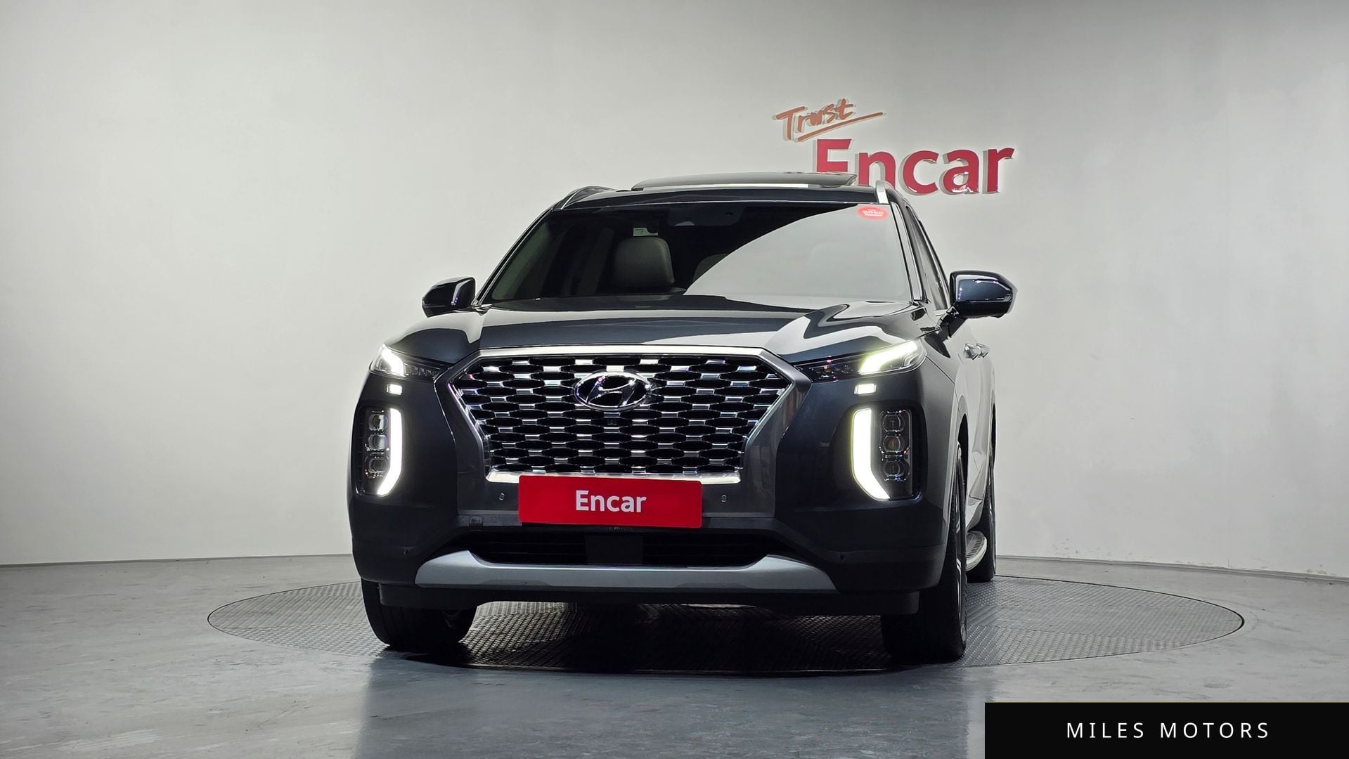 Hyundai Palisade 2019 — миниатюра 3