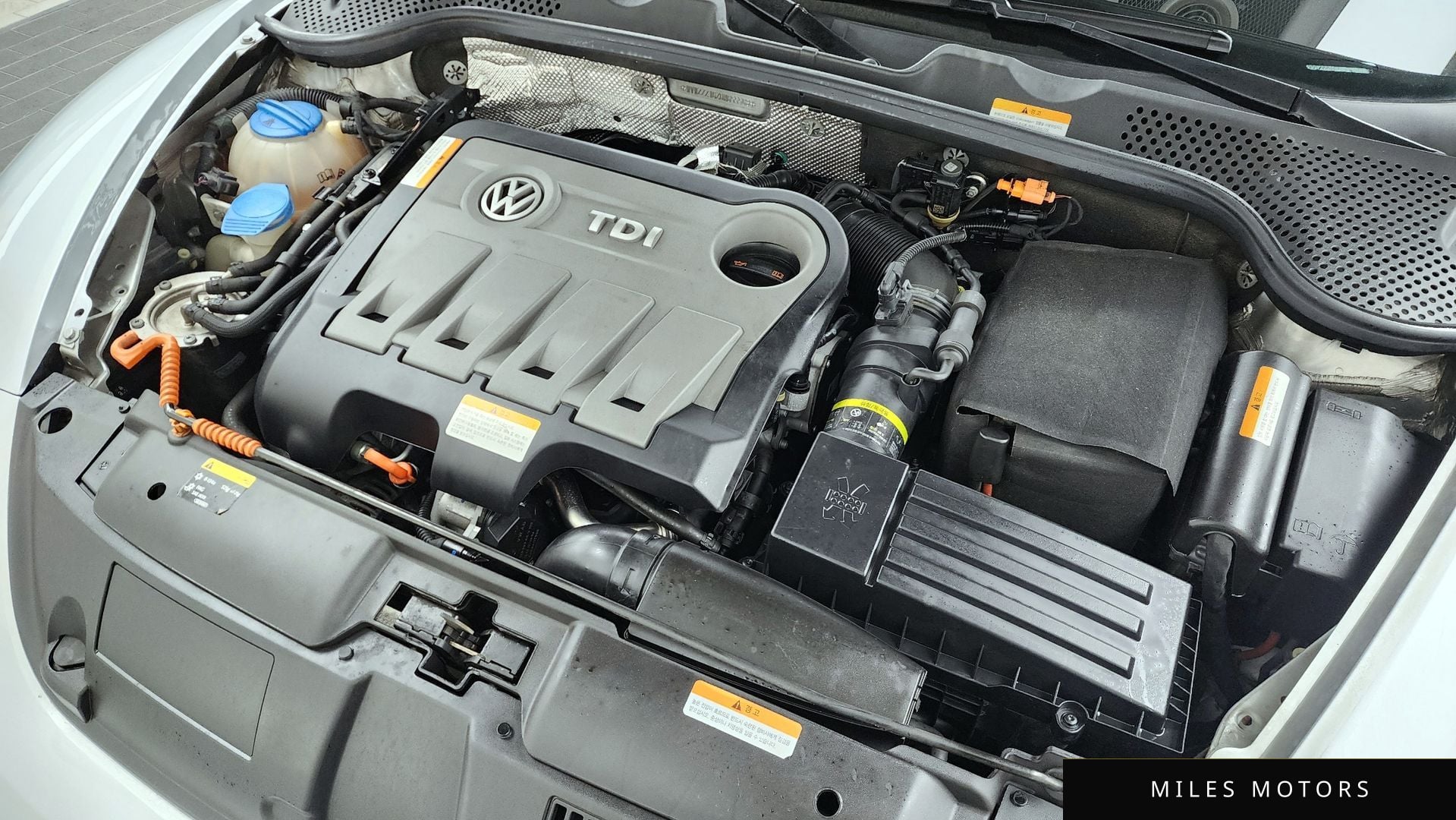 Volkswagen Beetle 2013 — миниатюра 6