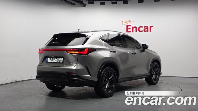 Лексус NX350h 2025 — миниатюра 2