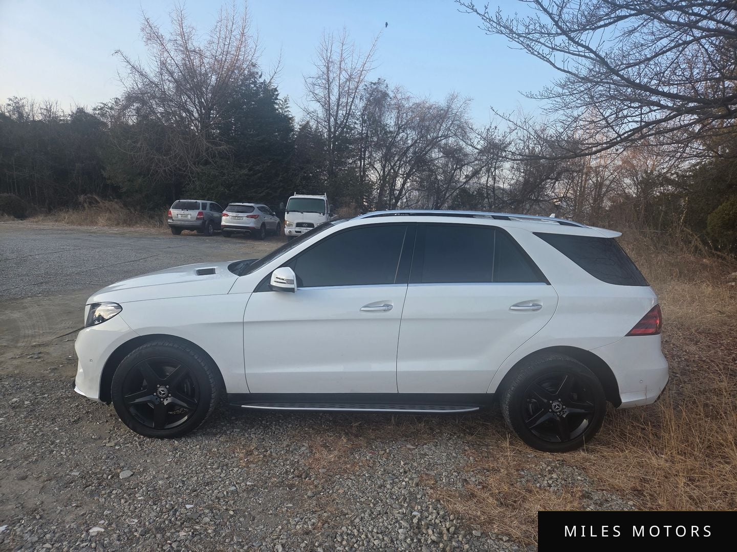 Mercedes-Benz GLE-클래스 W166 2017 — миниатюра 2