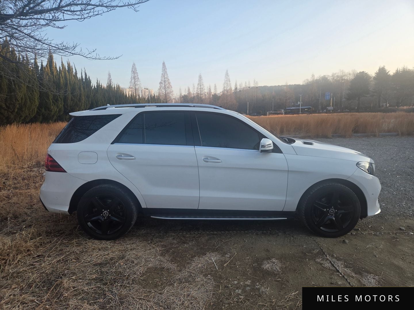Mercedes-Benz GLE-클래스 W166 2017 — миниатюра 3