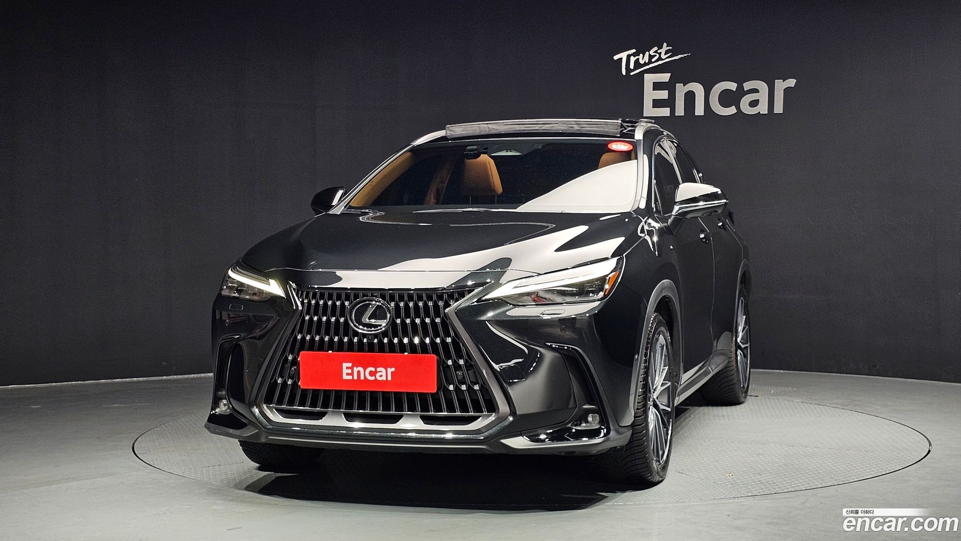Лексус NX350h 2025 — миниатюра 3