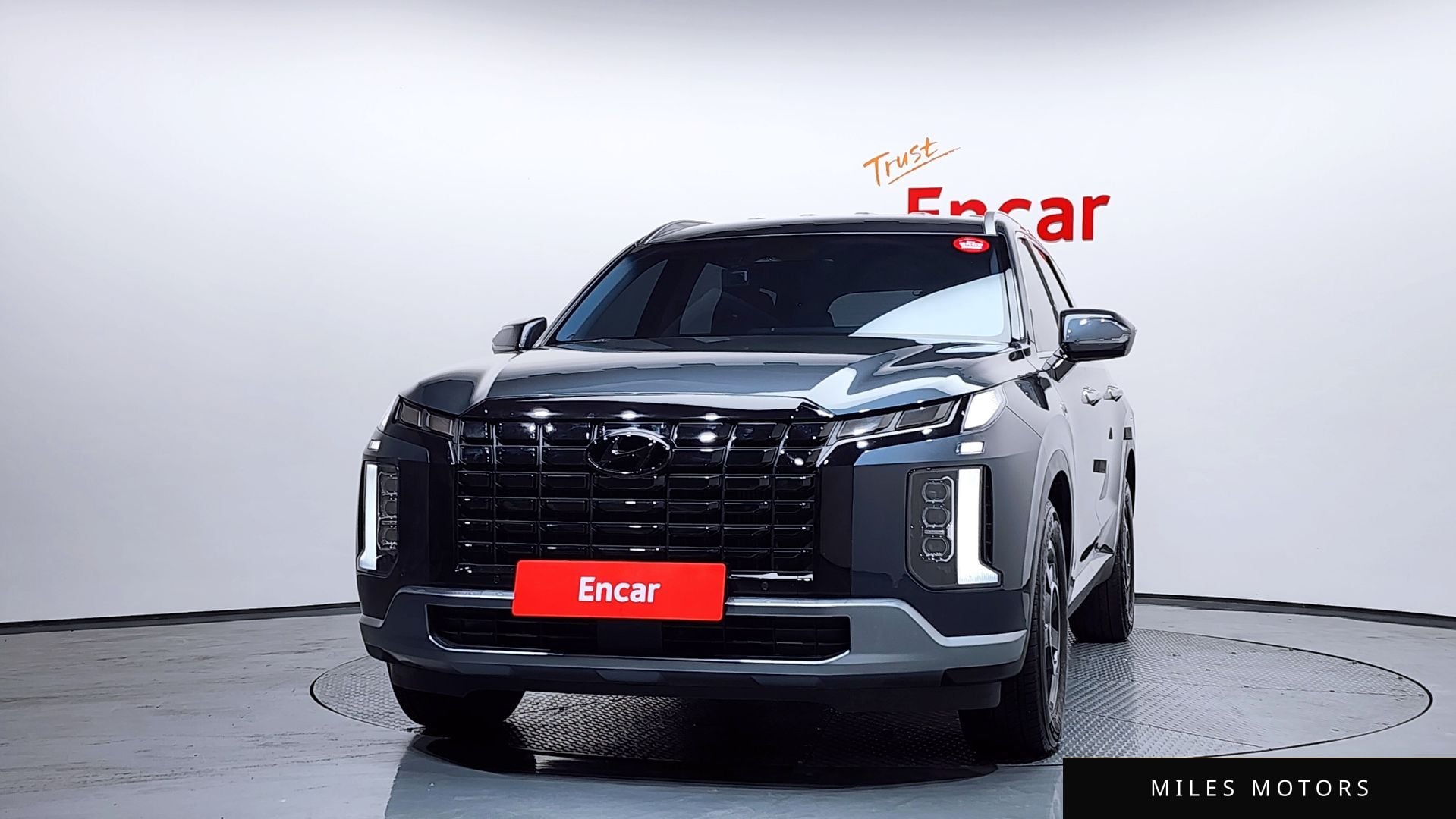 Hyundai Palisade 2023 — миниатюра 3