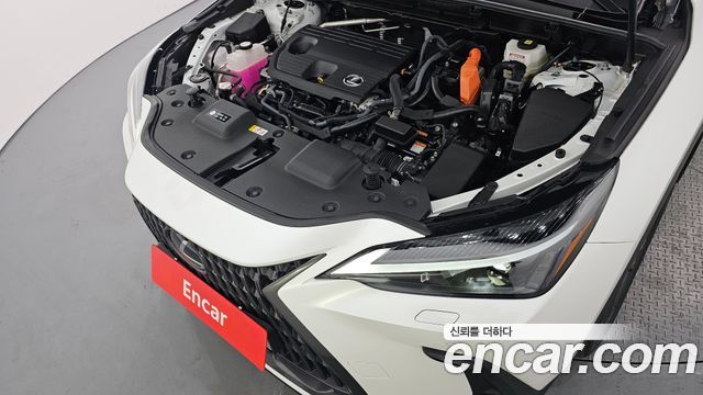 Лексус NX350h 2025 — миниатюра 6