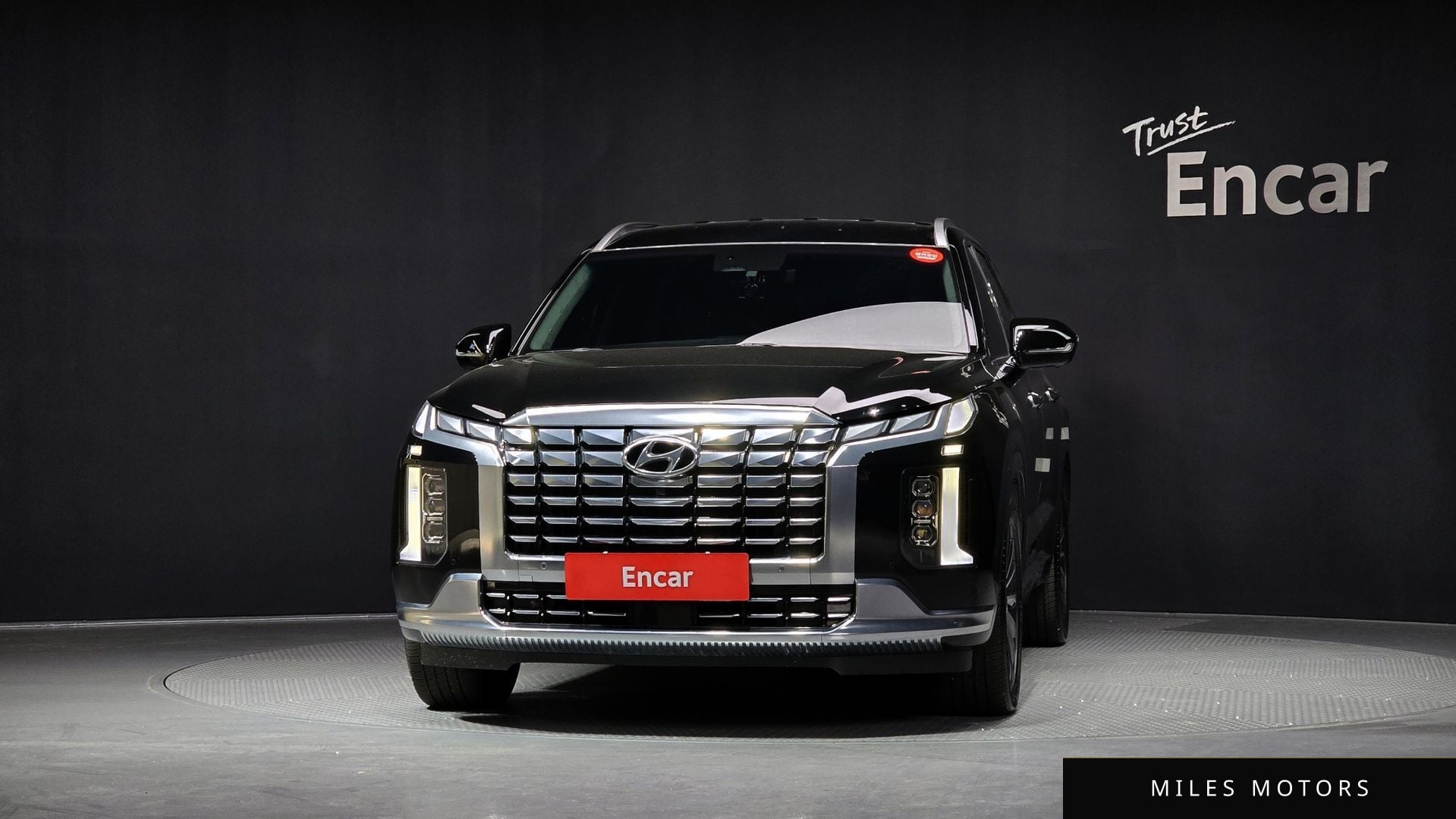 Hyundai Palisade 2023 — миниатюра 3