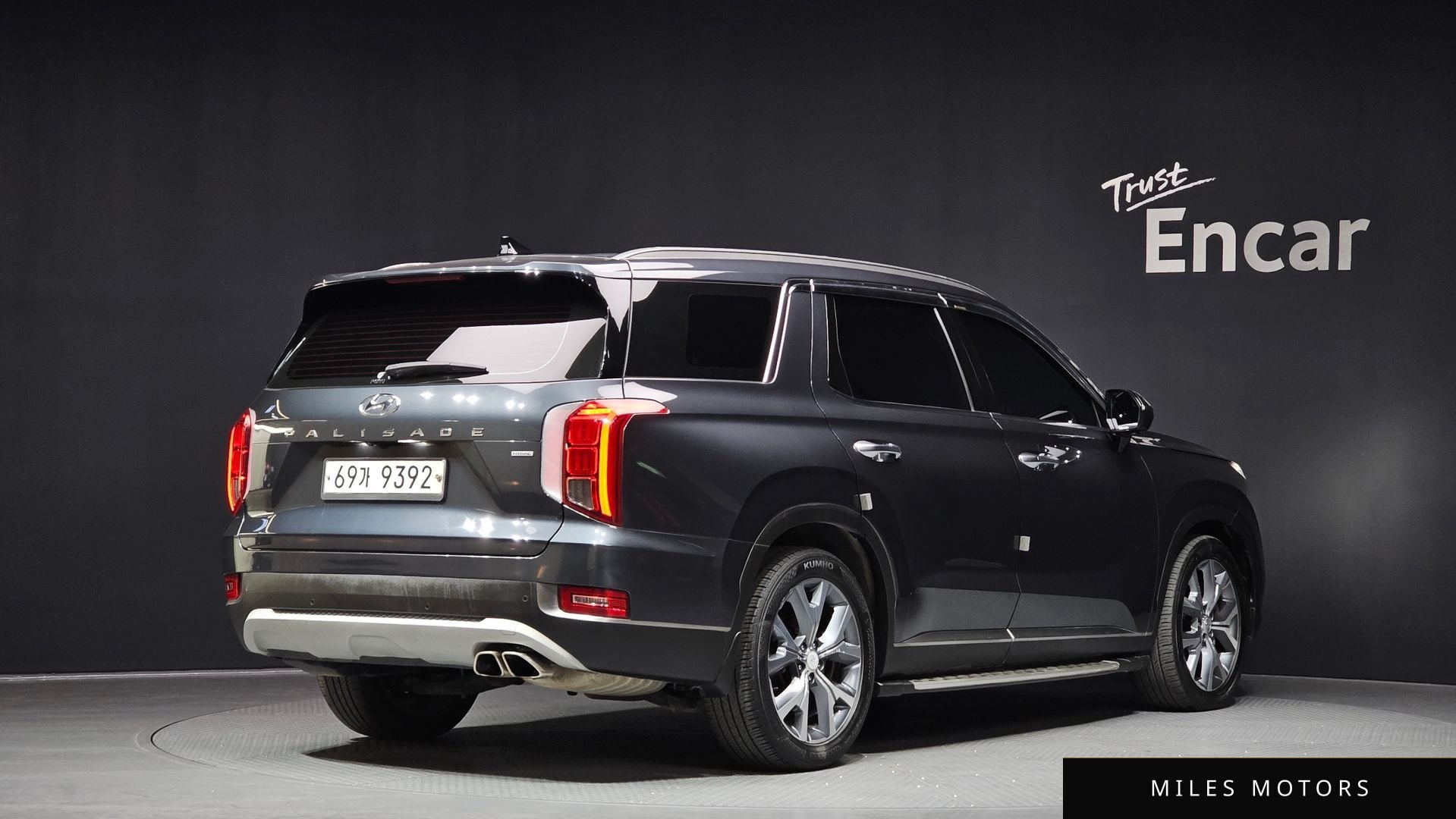 Hyundai Palisade 2019 — миниатюра 2