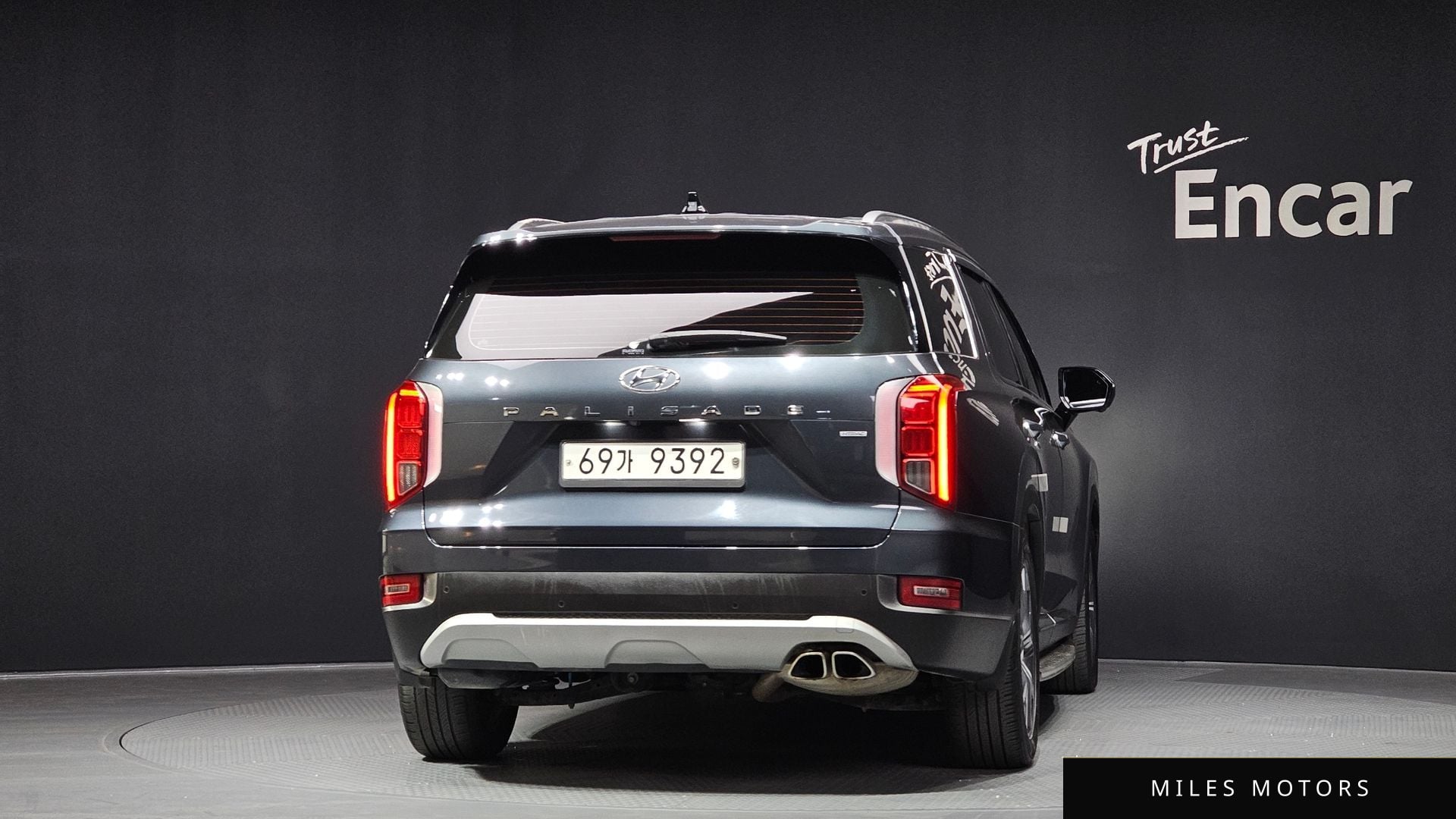 Hyundai Palisade 2019 — миниатюра 4