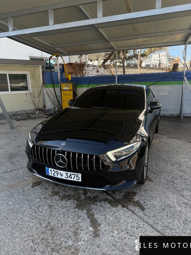 Mercedes-Benz CLS-Class C257 2019 — миниатюра 2
