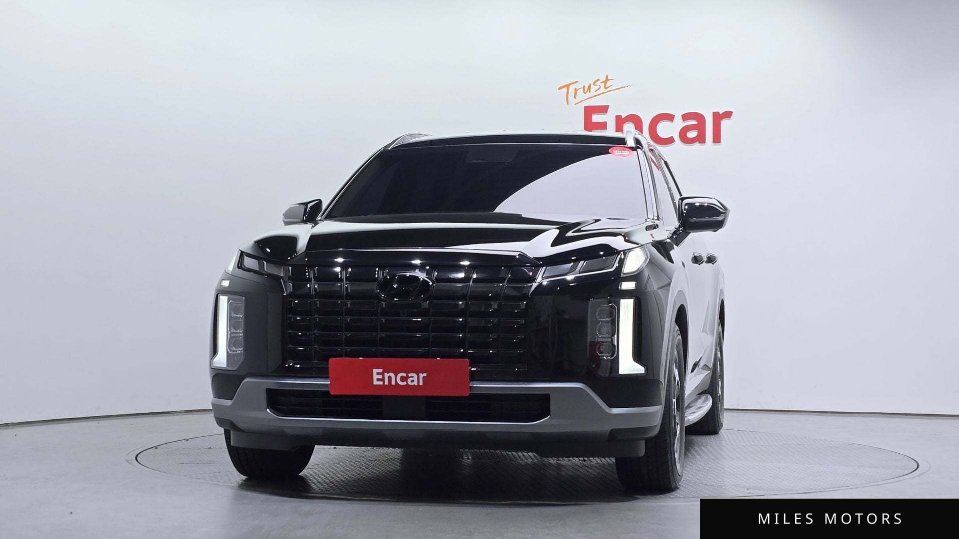 Hyundai Palisade 2023 — миниатюра 3
