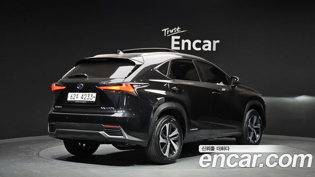 Лексус NX300h 2019 — миниатюра 2