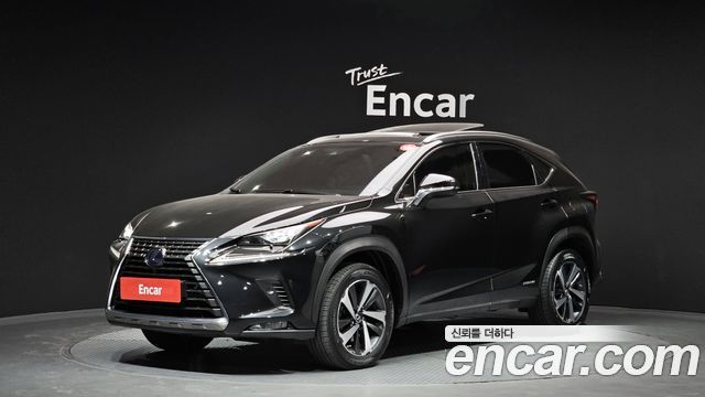Лексус NX300h 2019 — миниатюра 25