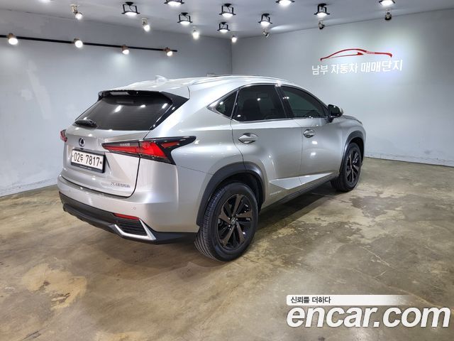 Лексус NX300h 2019 — миниатюра 2