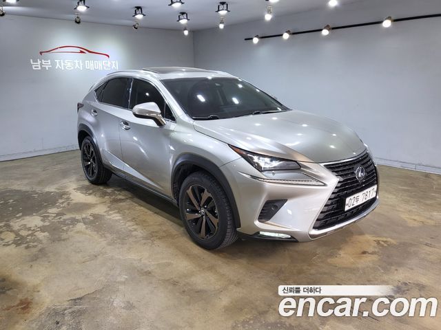 Лексус NX300h 2019 — миниатюра 13