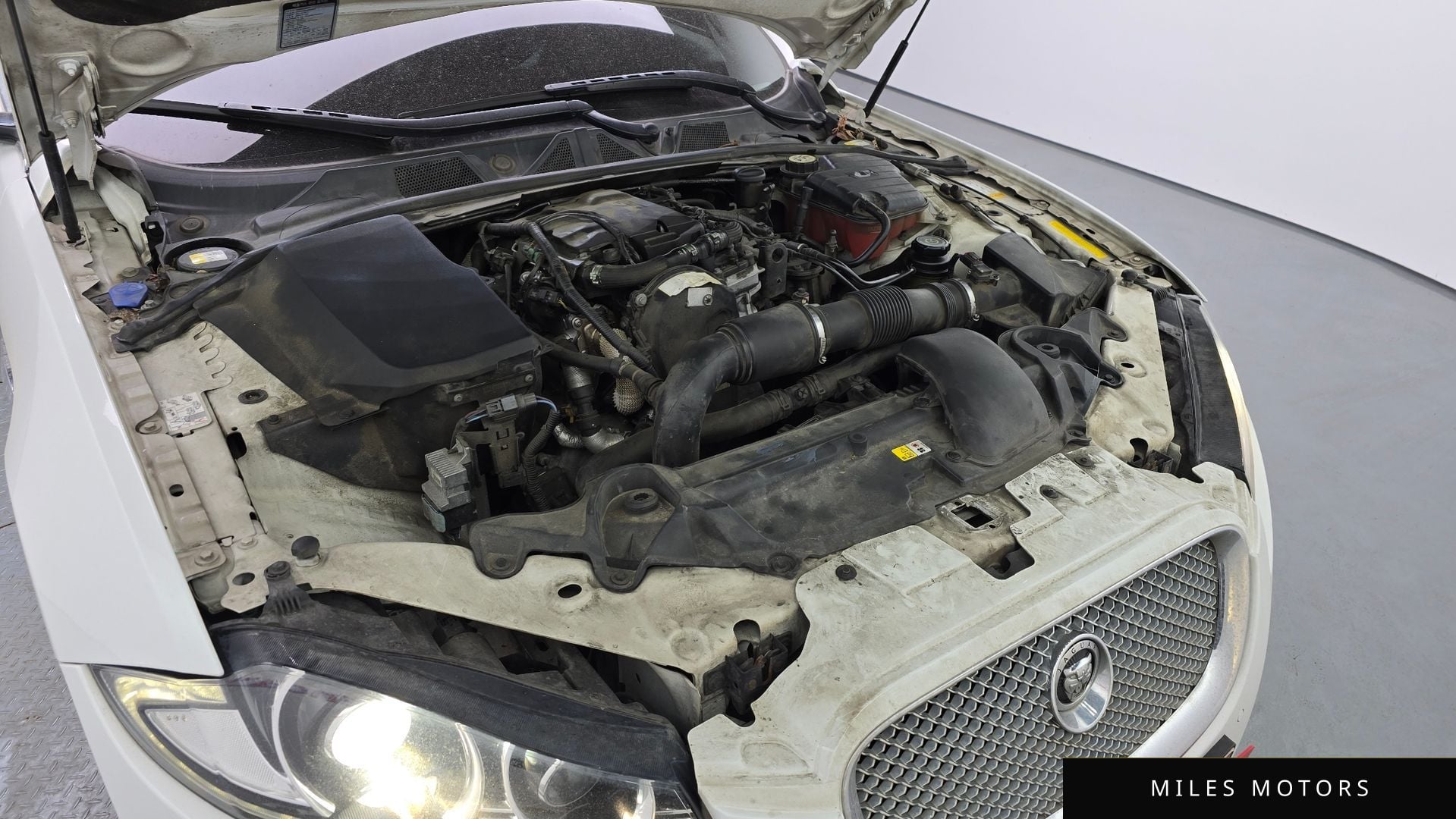 Jaguar New XF 2013 — миниатюра 6