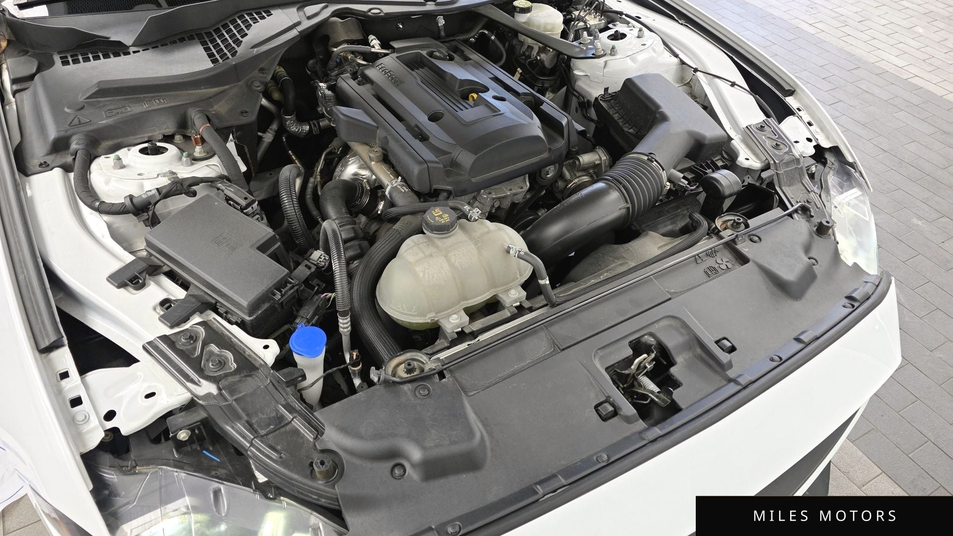 Ford 머스탱 2023 — миниатюра 6