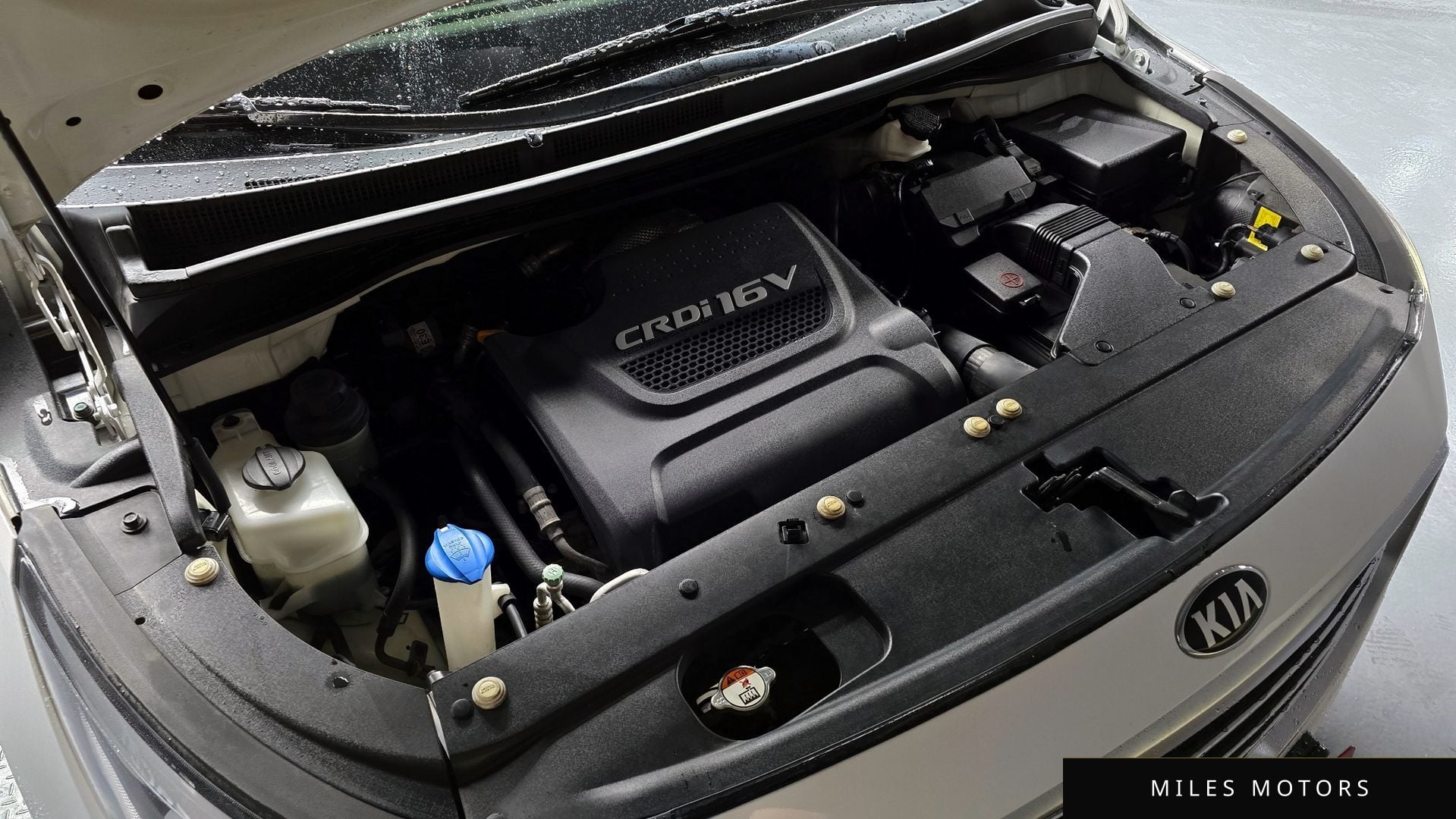 Kia Canival 2018 — миниатюра 6