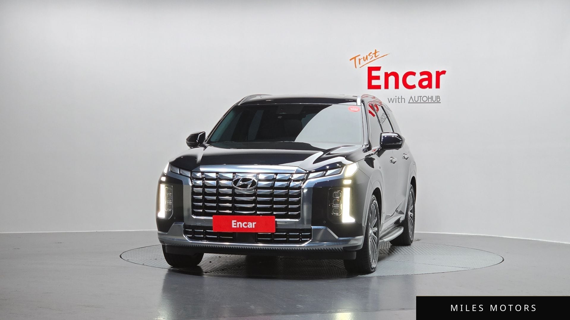 Hyundai Palisade 2023 — миниатюра 3