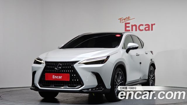Лексус NX350h 2024 — миниатюра 12