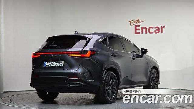 Лексус NX350h 2025 — миниатюра 2