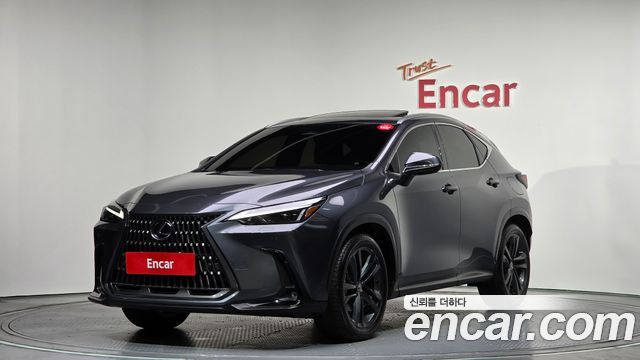 Лексус NX350h 2025 — миниатюра 11
