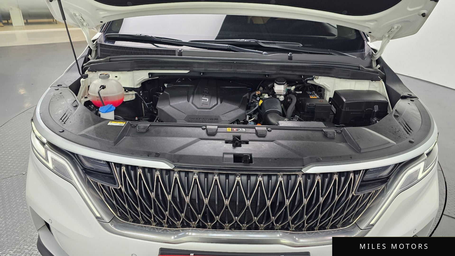Kia Carnival 2023 — миниатюра 6