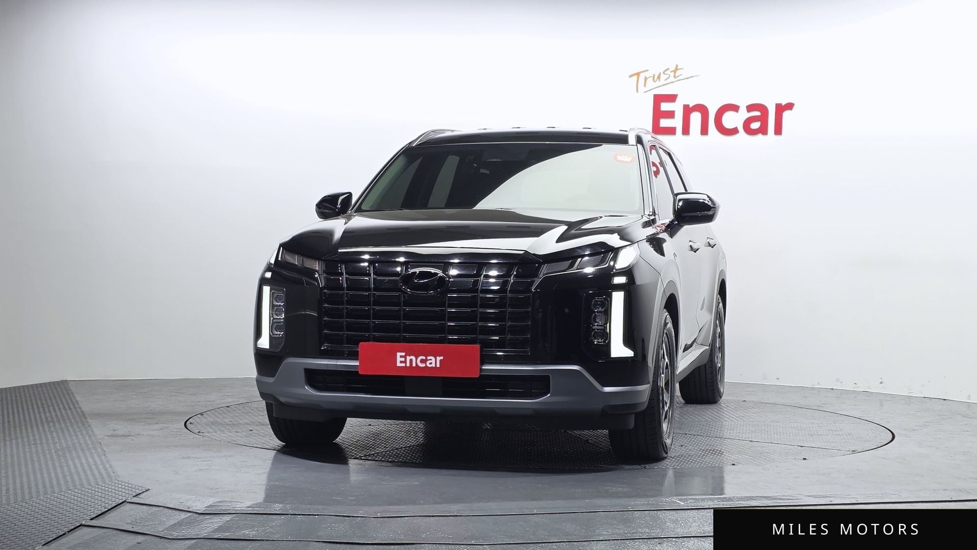 Hyundai Palisade 2023 — миниатюра 3