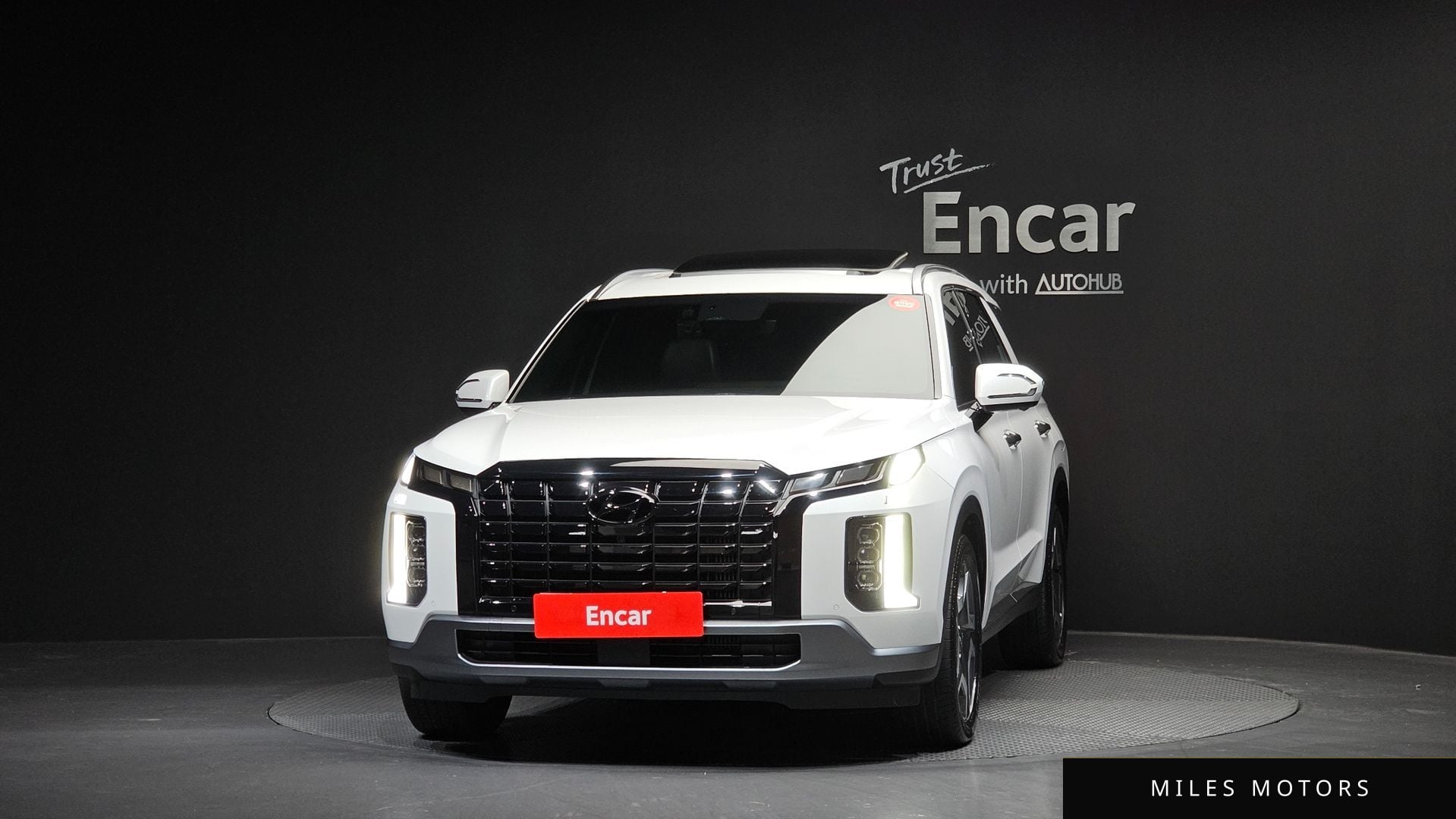 Hyundai Palisade 2023 — миниатюра 3