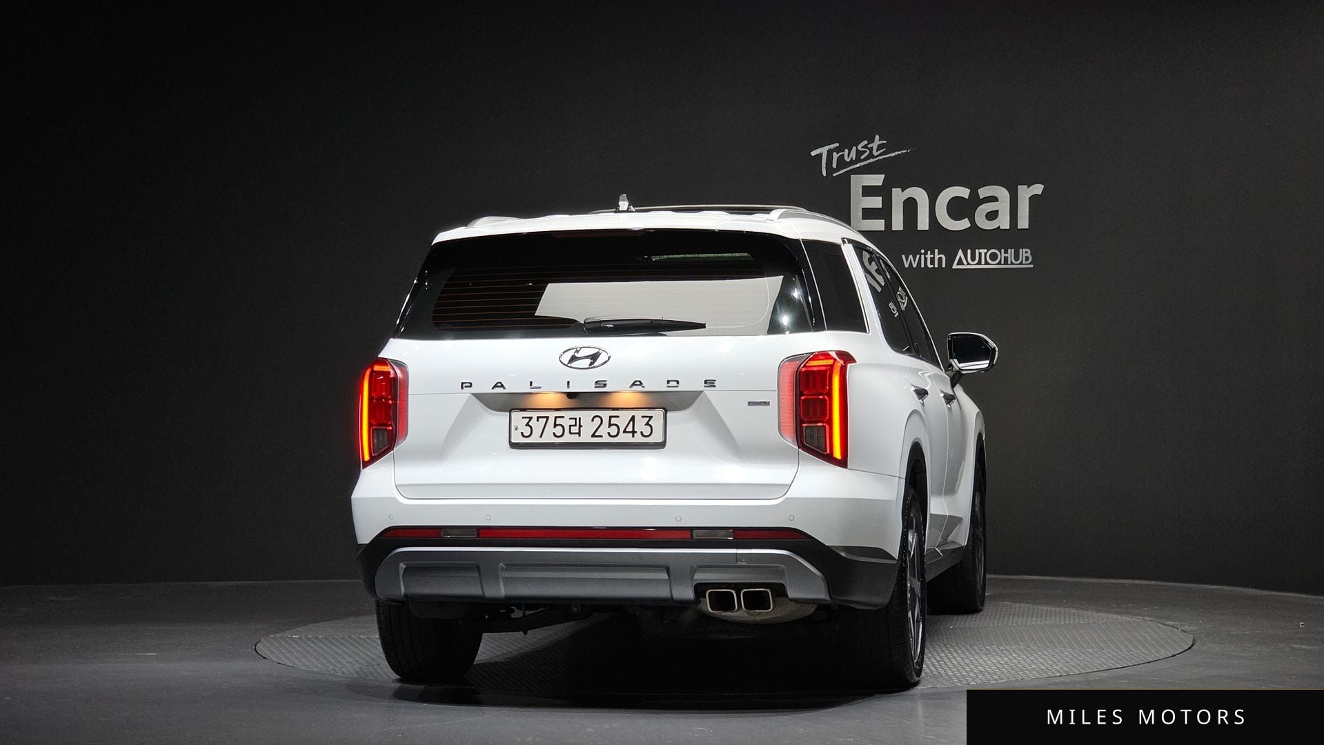 Hyundai Palisade 2023 — миниатюра 4