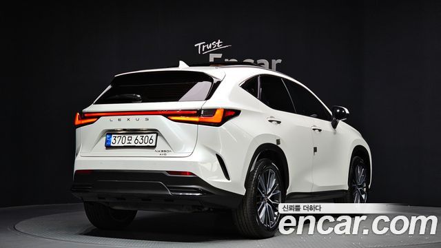 Лексус NX350h 2025 — миниатюра 2