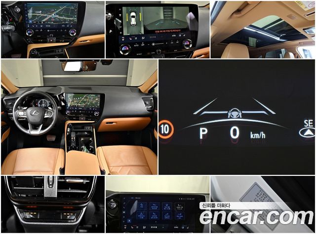 Лексус NX350h 2025 — миниатюра 23