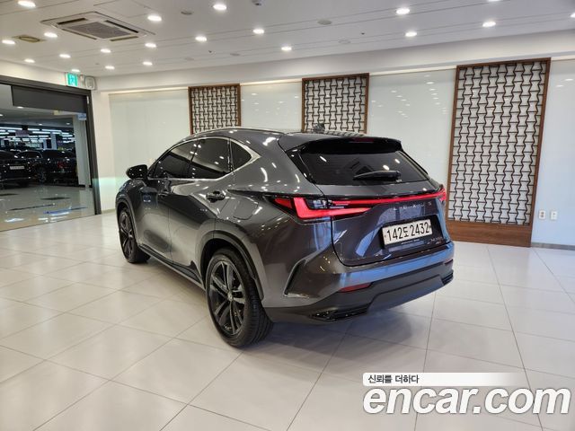Лексус NX350h 2023 — миниатюра 2