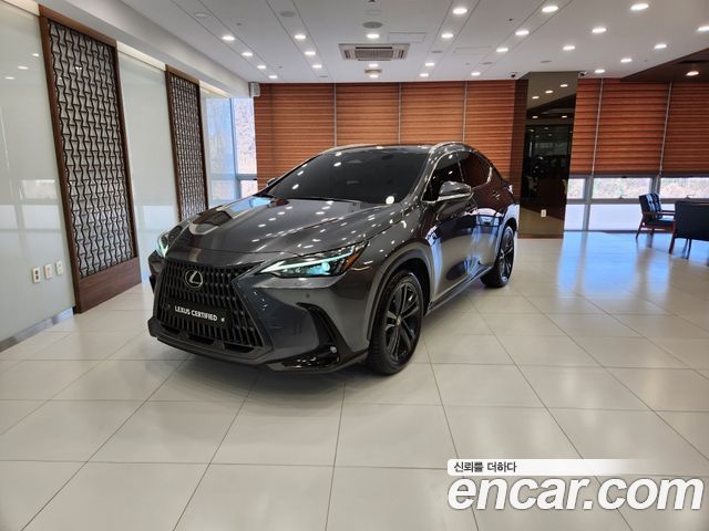 Лексус NX350h 2023 — миниатюра 20