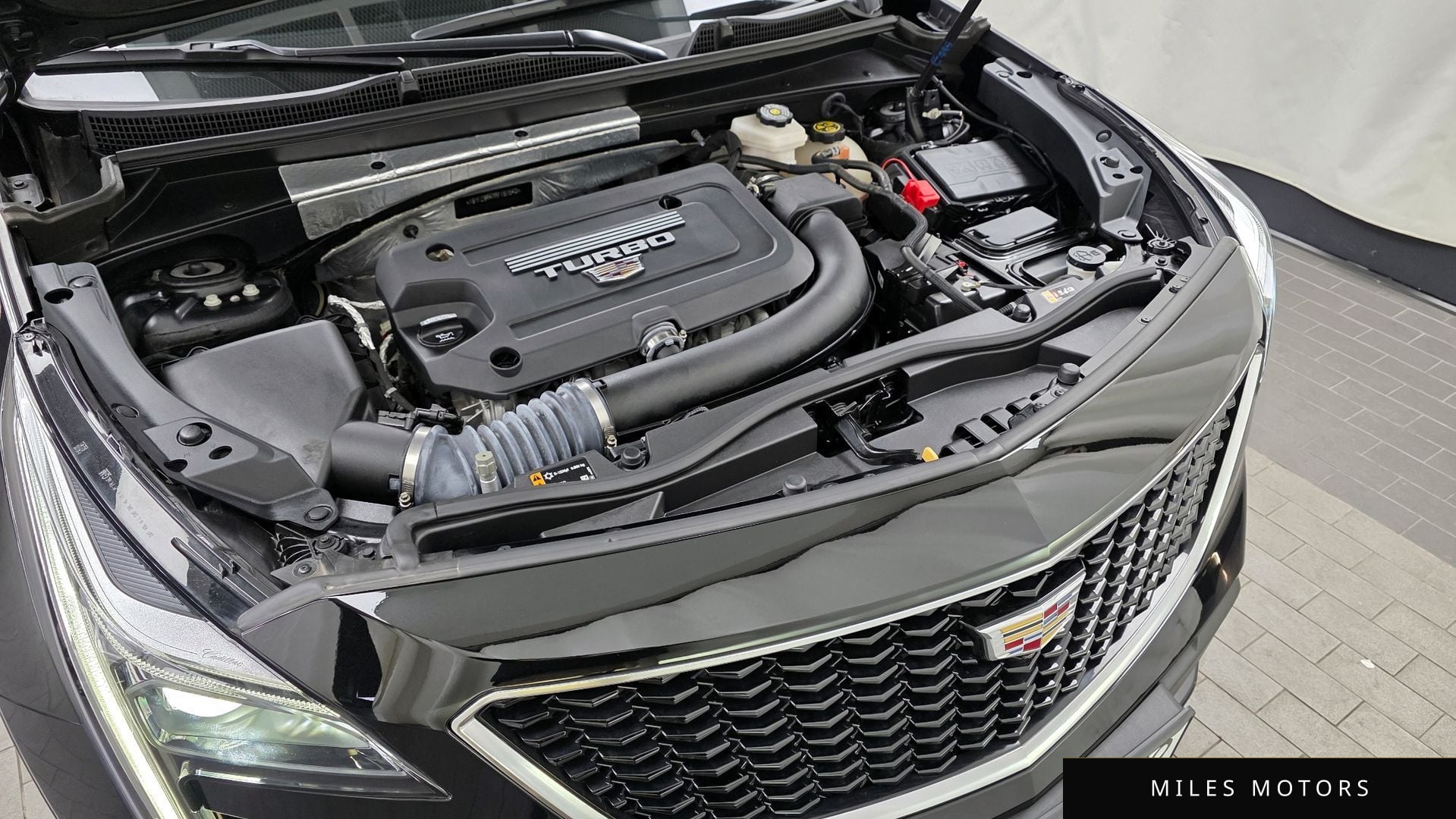 Cadillac XT4 2023 — миниатюра 6