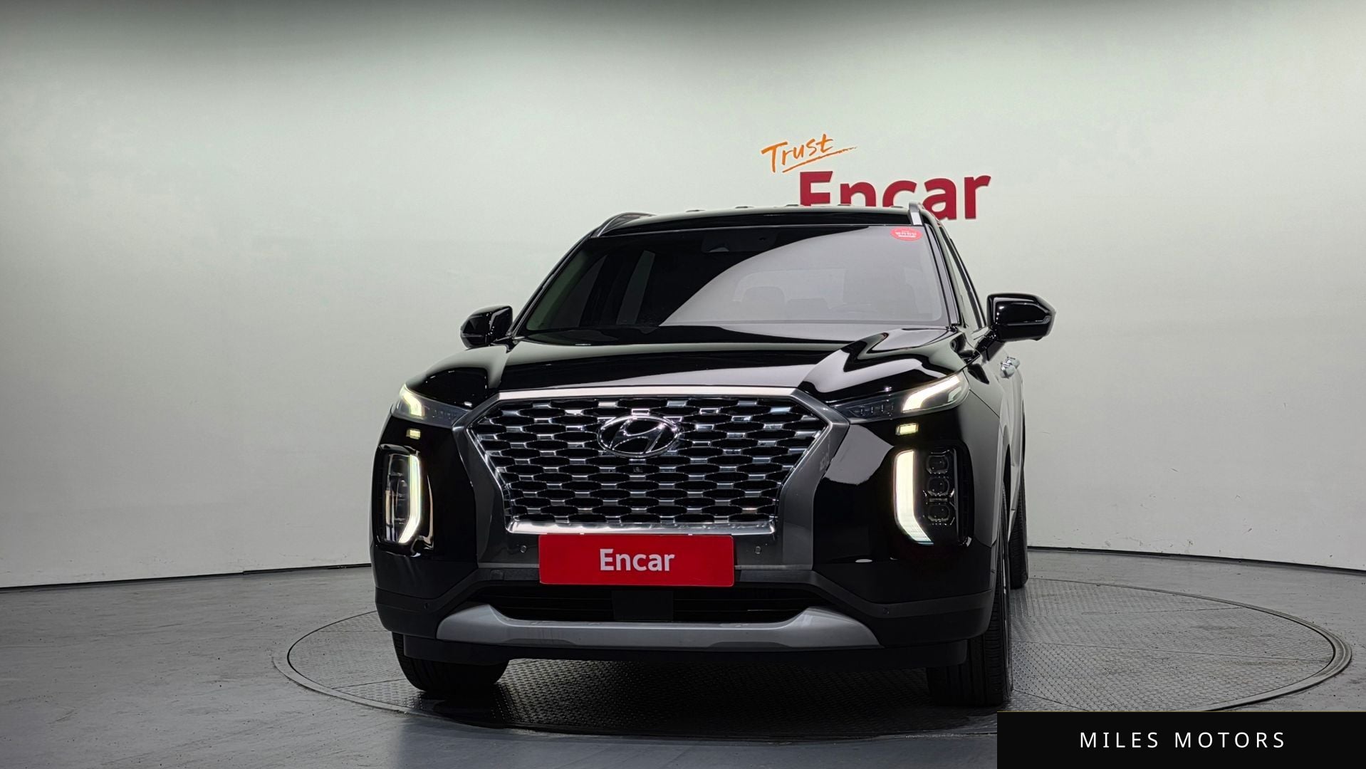 Hyundai Palisade 2019 — миниатюра 3