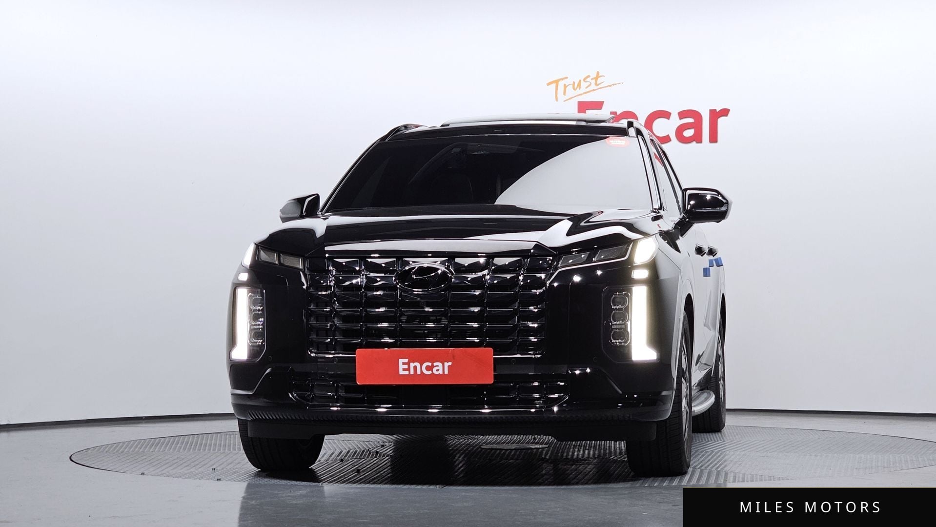 Hyundai Palisade 2024 — миниатюра 3