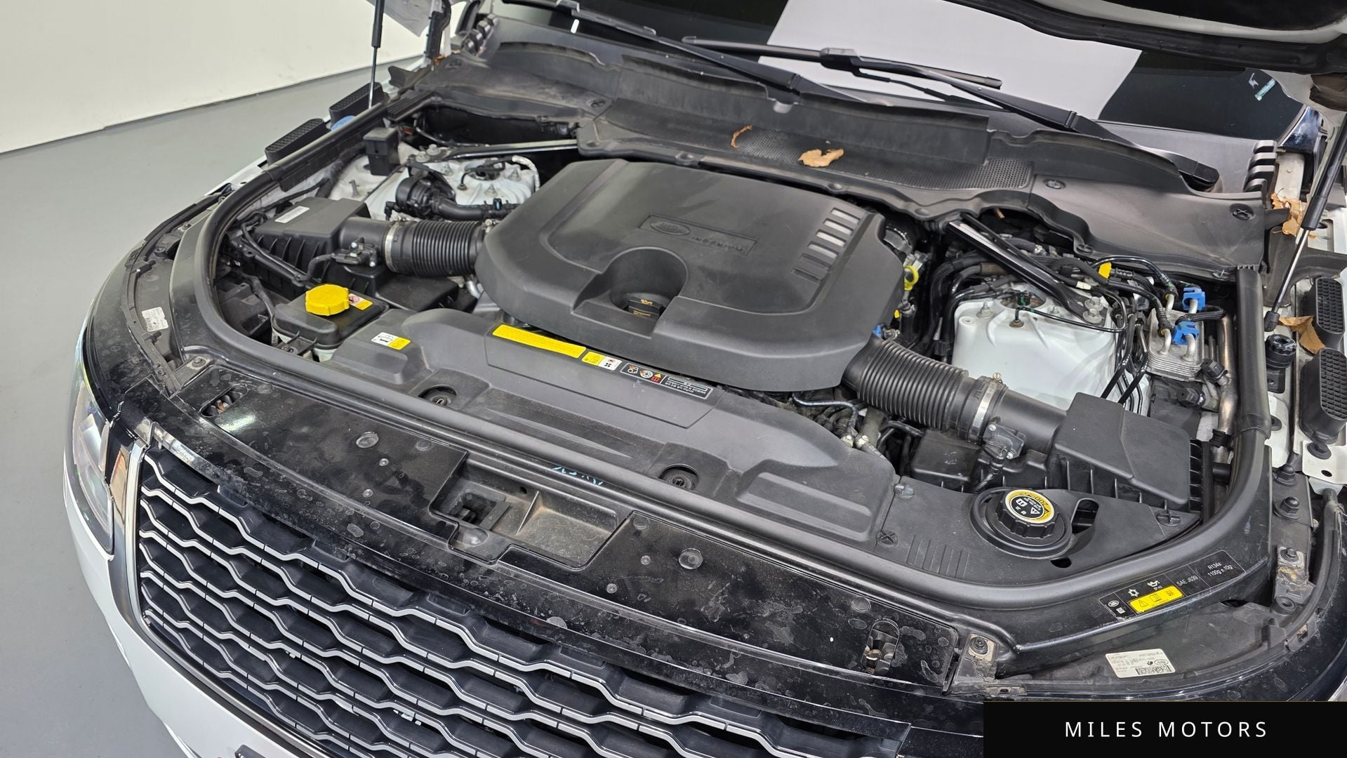 Land Rover Range Rover 2021 — миниатюра 6