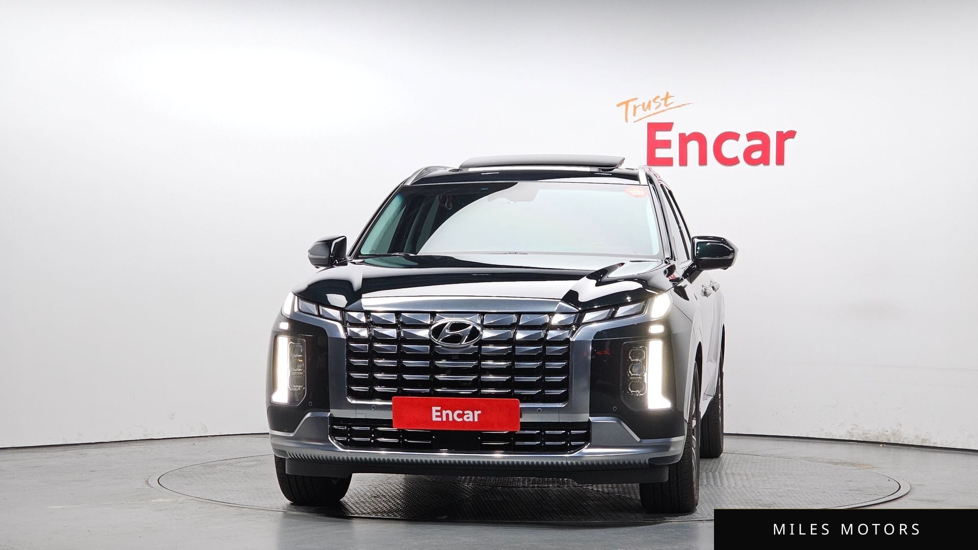 Hyundai Palisade 2023 — миниатюра 3