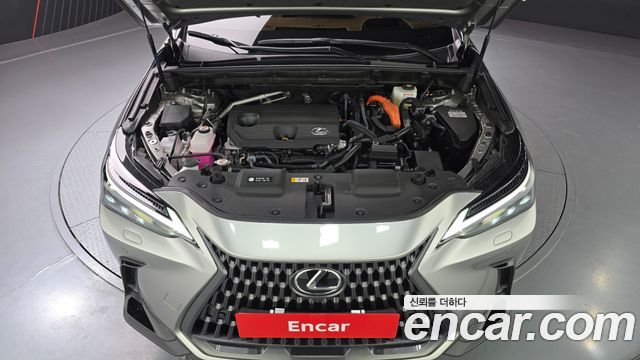 Лексус NX350h 2025 — миниатюра 6