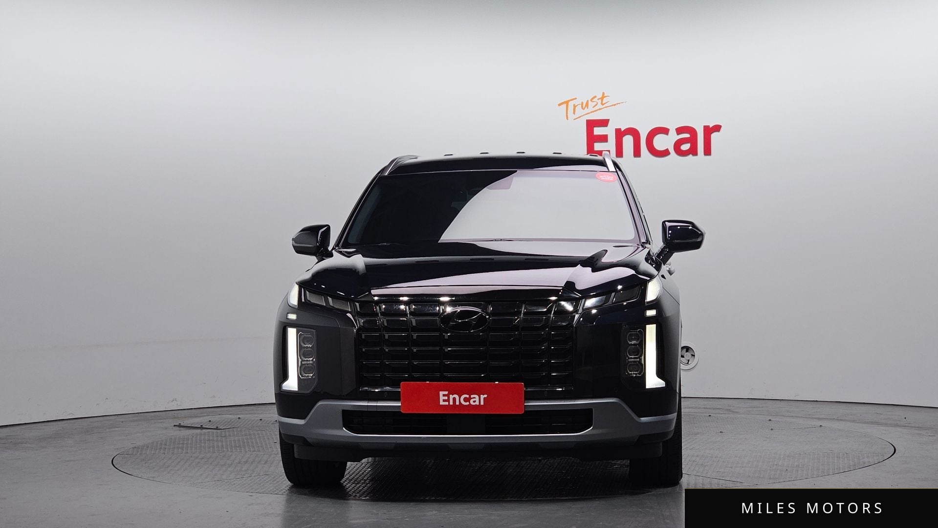 Hyundai Palisade 2023 — миниатюра 3